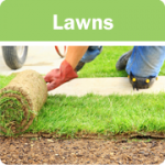 Lawns icons