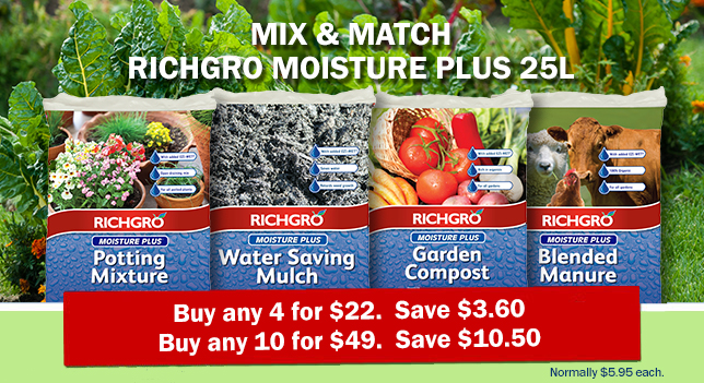 Every Day Deal_Richgro