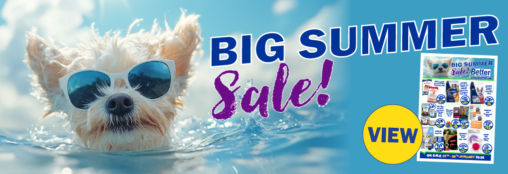 January Big Summer Sale 2026