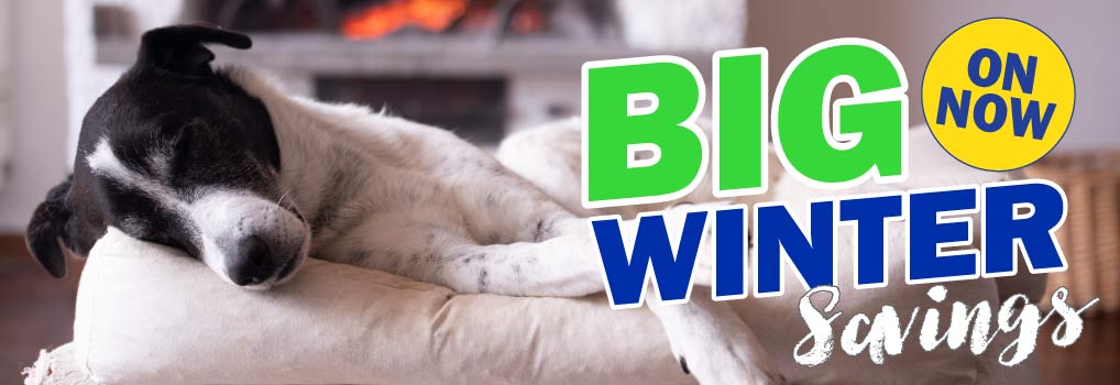 Big Winter Savings
