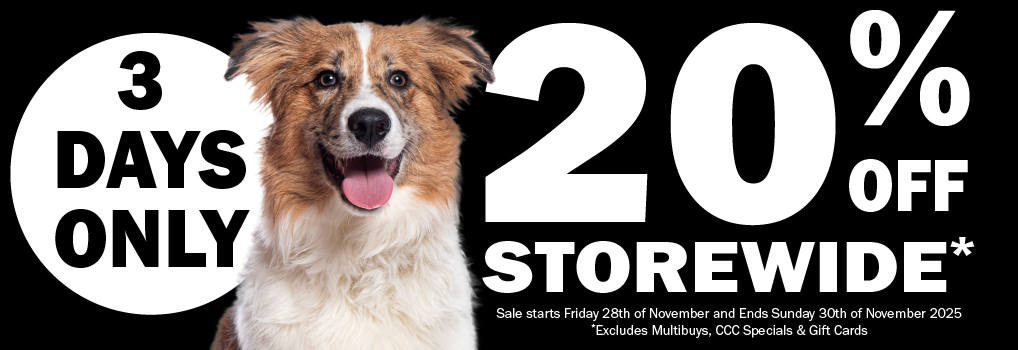 Black Friday Sale 2025