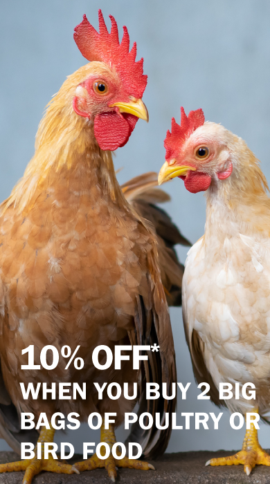 10% off when you buy 2 big bags of poultry or bird food